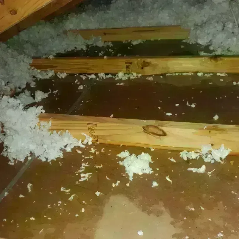 Attic Water Damage in Wayne County, MO