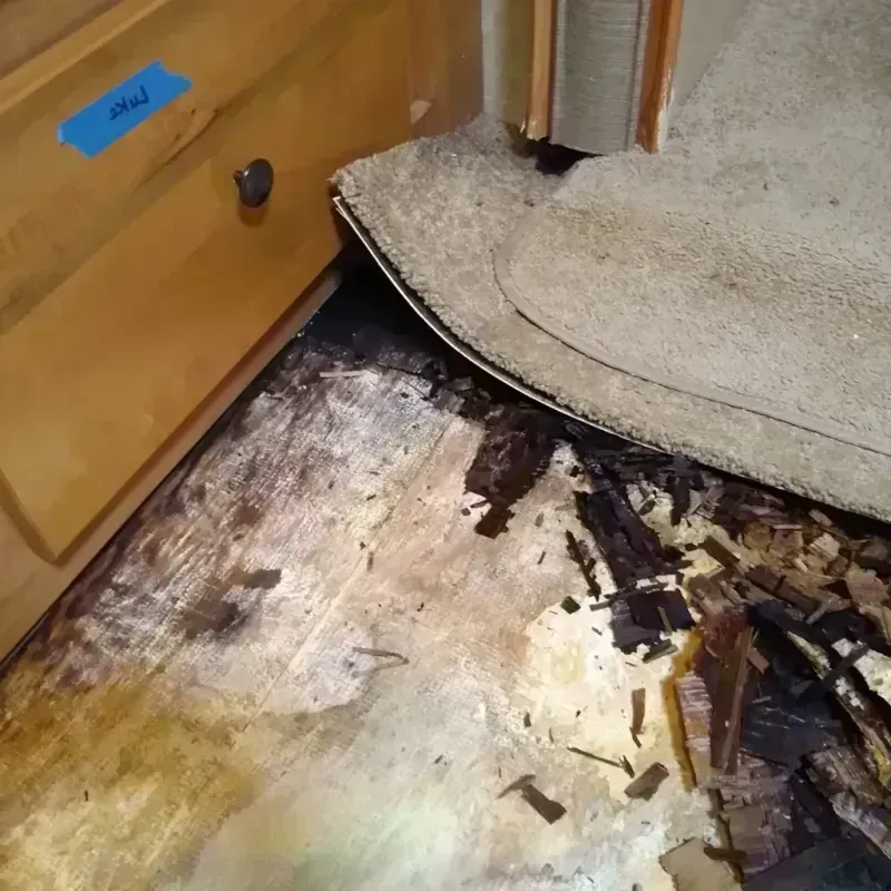 Wood Floor Water Damage in Wayne County, MO